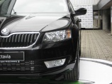 Презентация новой Skoda Оctavia в неформальной обстановке